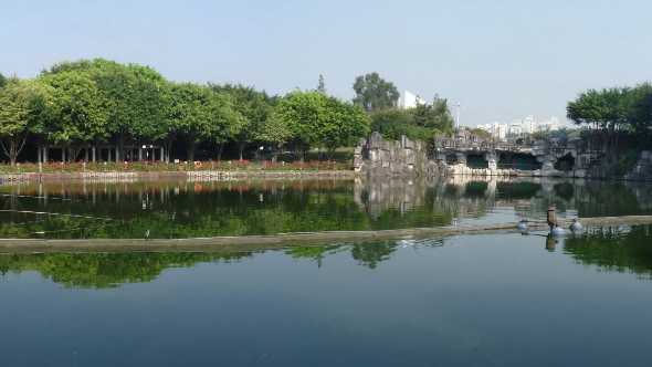 深圳旅游网-深圳中山公园